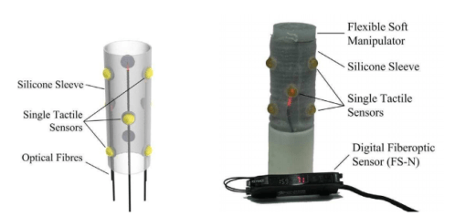 Bio-inspired Sensor 2